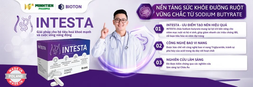 Intesta banner